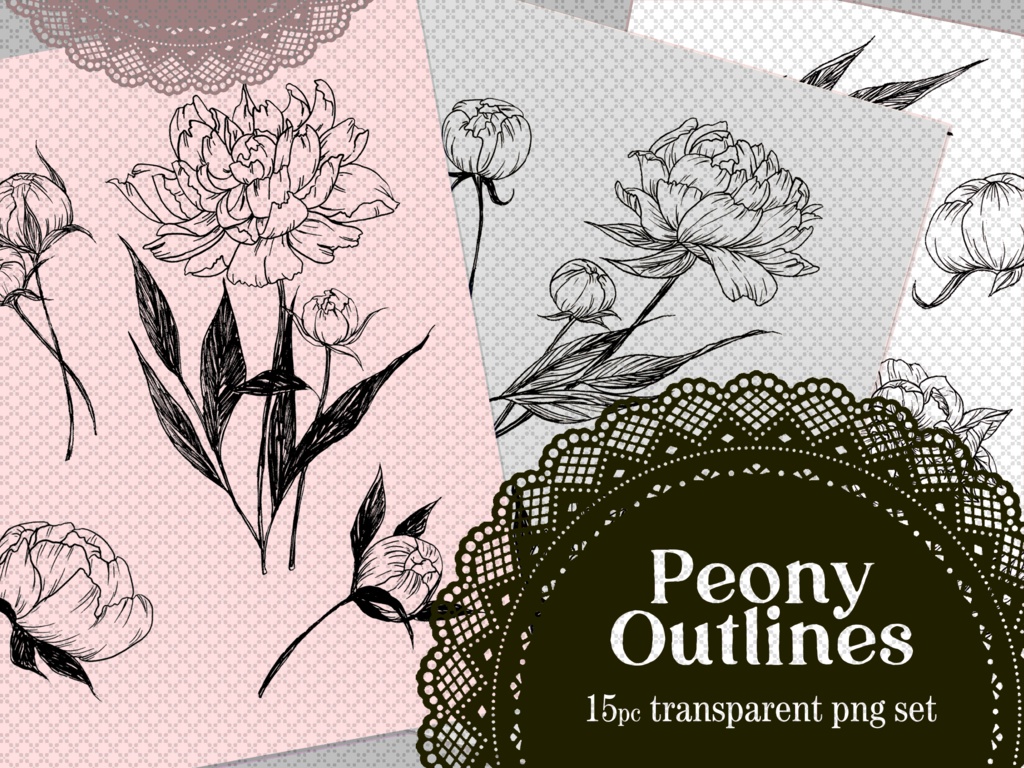 Peony Flower Botanical Lines, 15 Transparent PNG Set
