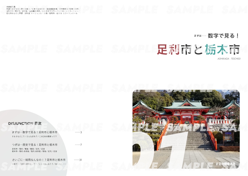 DISJUNCTION/足+栃 近現代史本