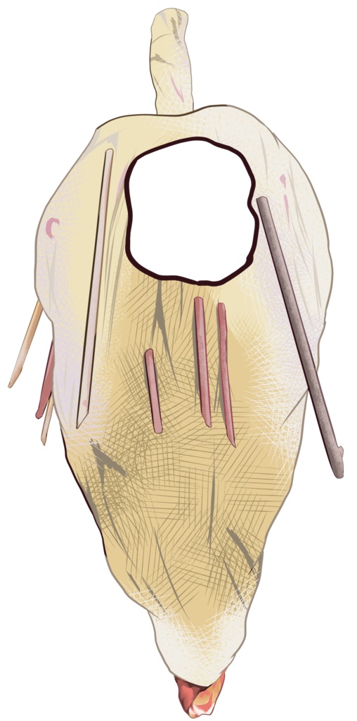 ミノムシ着ぐるみ