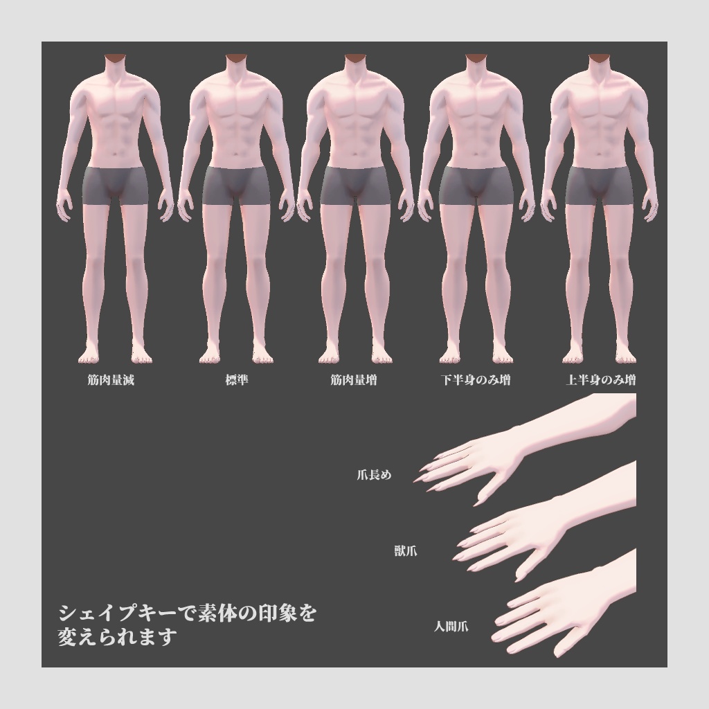 DuCBody / VRChat向け男性素体