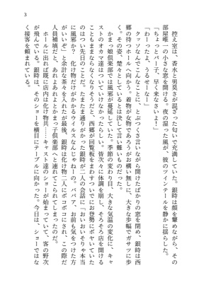 好きですよ、銀時さん