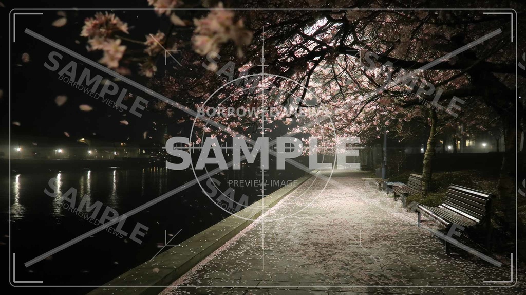 夜桜の余韻|川沿いの情緒背景素材 10枚セット