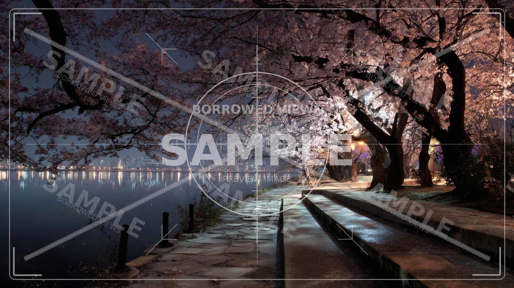 夜桜の余韻|川沿いの情緒背景素材 10枚セット