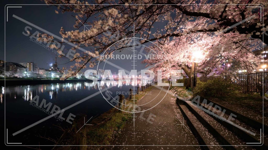 夜桜の余韻|川沿いの情緒背景素材 10枚セット