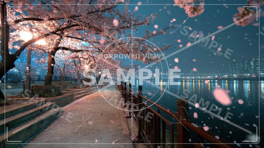 夜桜の余韻|川沿いの情緒背景素材 10枚セット