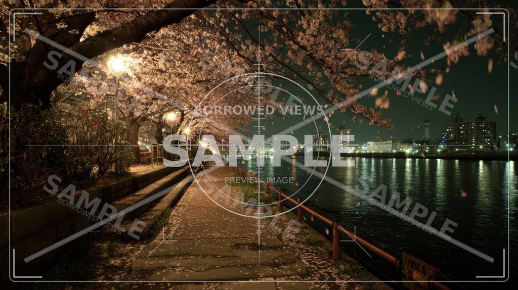 夜桜の余韻|川沿いの情緒背景素材 10枚セット