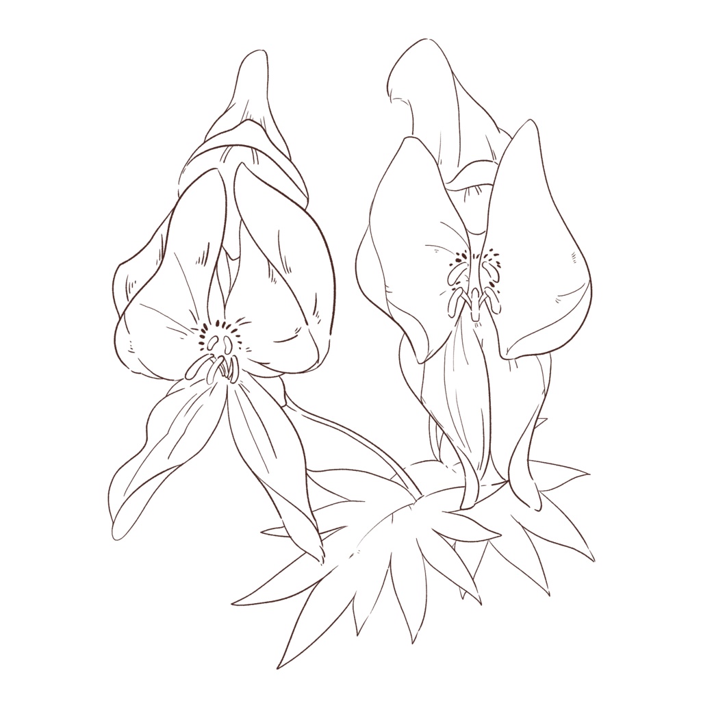 【素材集】冬の花3セット【合計5パターン有り】