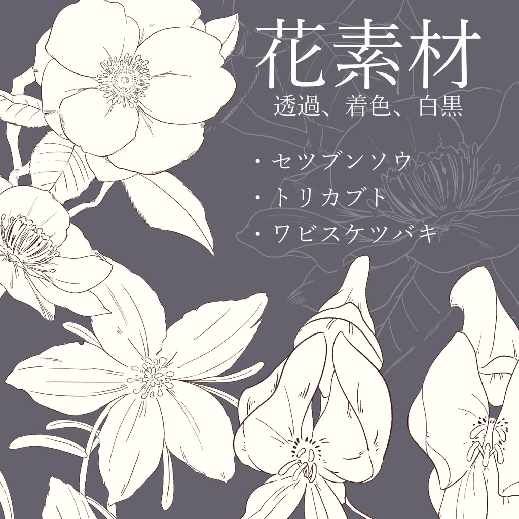 【素材集】冬の花３セット【合計５パターン有り】