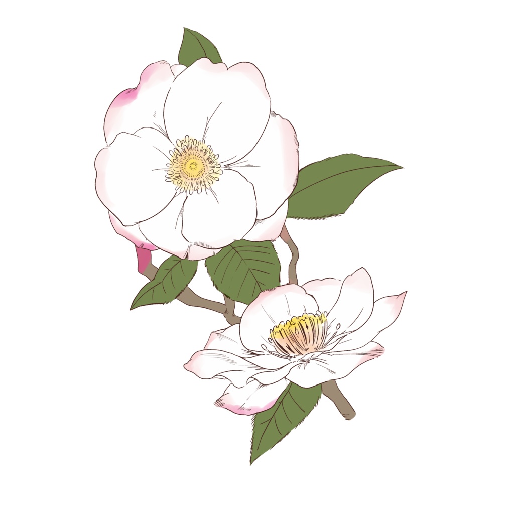 【素材集】花素材セット 冬の花1【3種類合計4パターン有り】