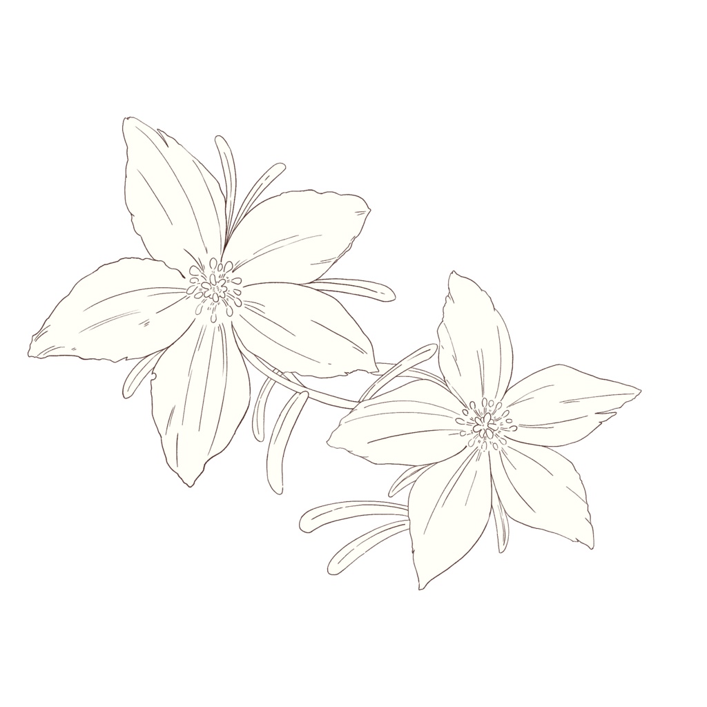 【素材集】冬の花3セット【合計5パターン有り】