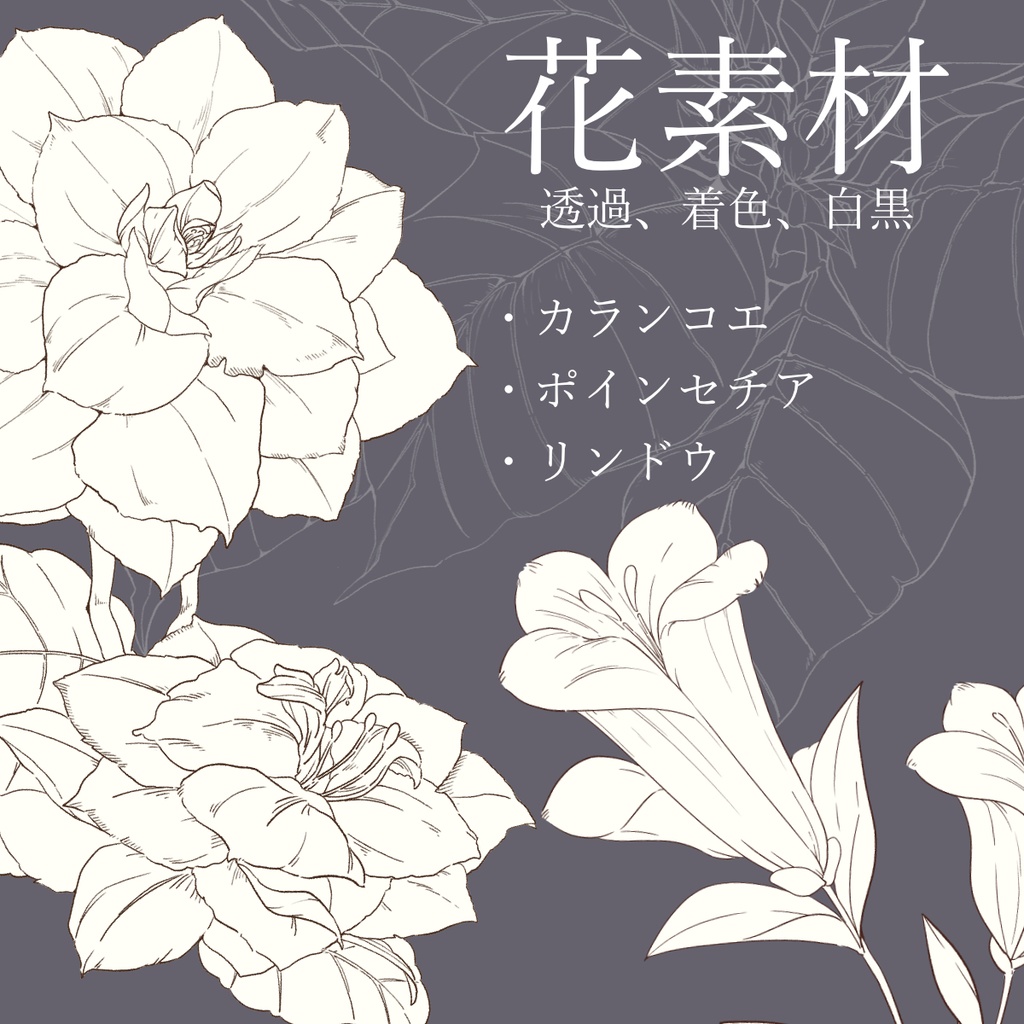 【素材集】花素材セット2　冬の花2【３種類合計4パターン有り】