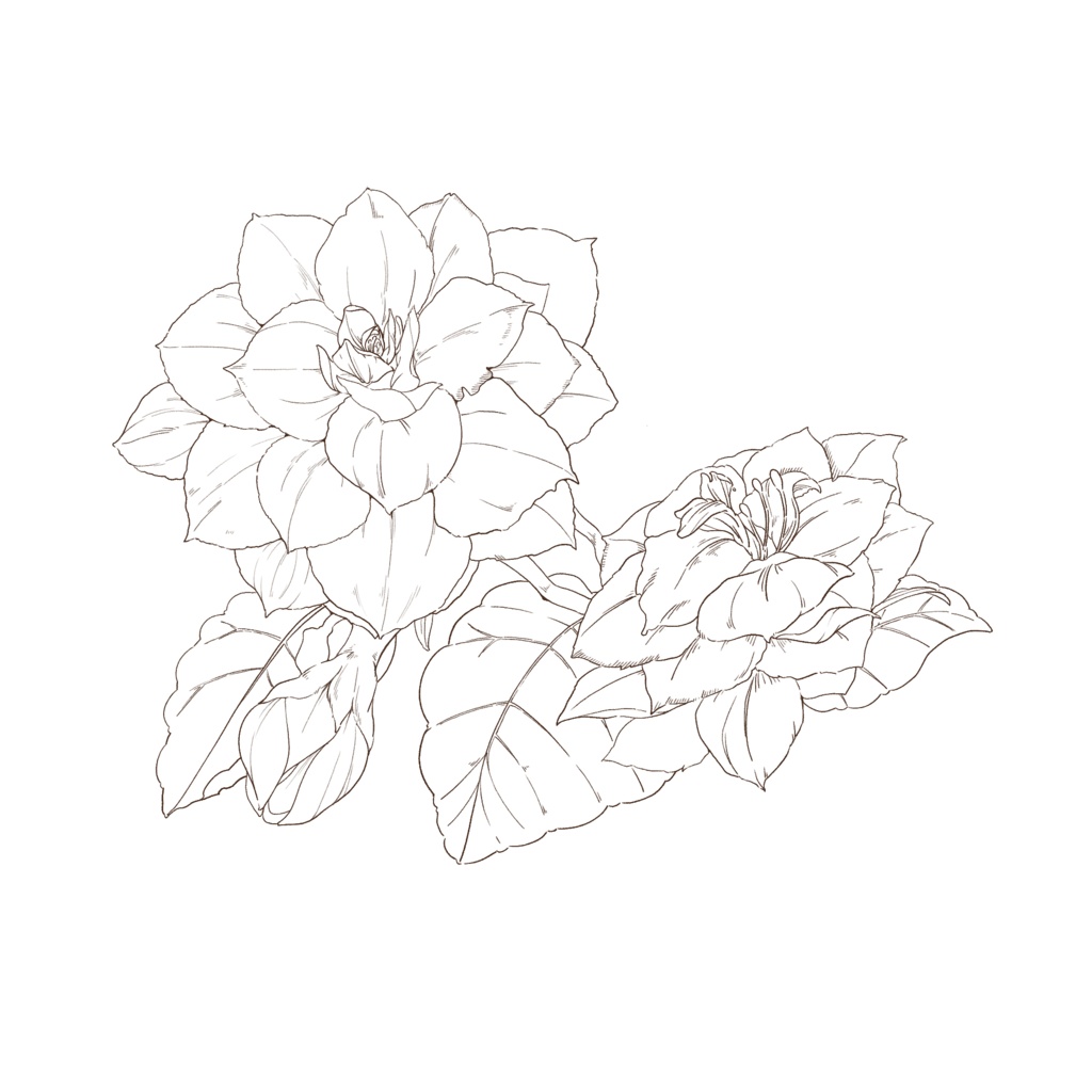 【素材集】花素材セット2 冬の花2【3種類合計4パターン有り】