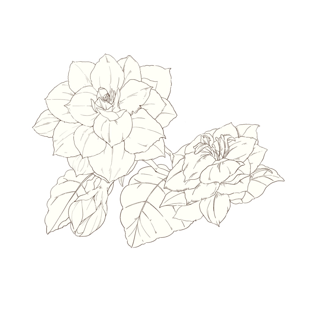 【素材集】花素材セット2 冬の花2【3種類合計4パターン有り】