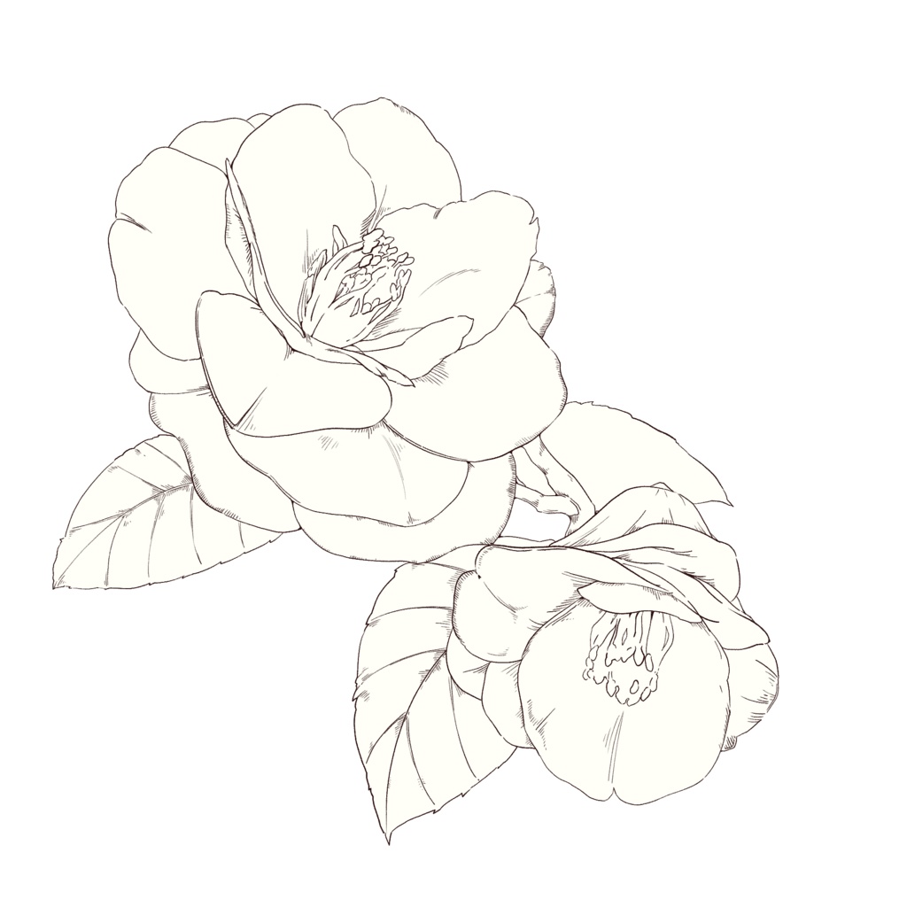 【素材集】花素材セット3 冬の花2【3種類合計4パターン有り】