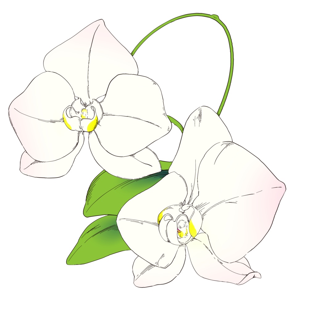 【素材集】花素材セット4 冬と春【合計4パターン有り】