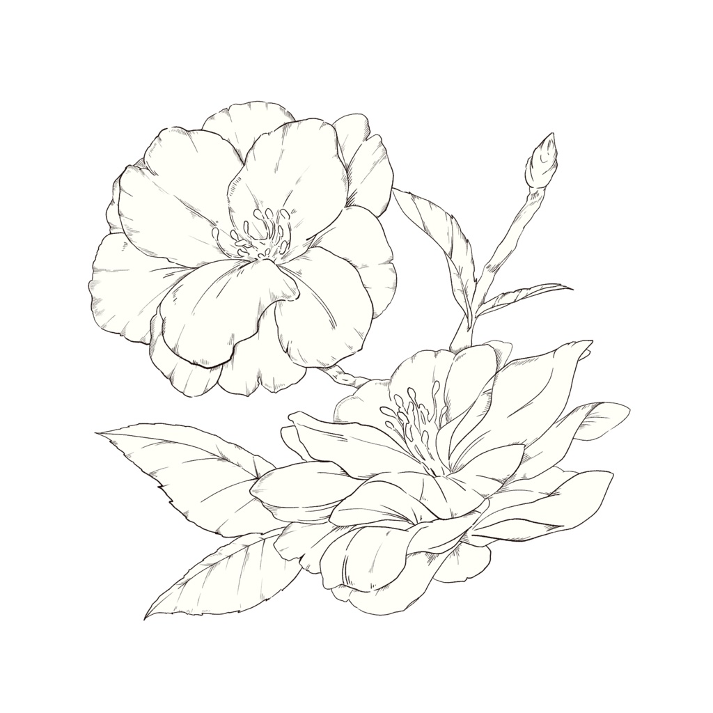 【素材集】花素材セット4 冬と春【合計4パターン有り】