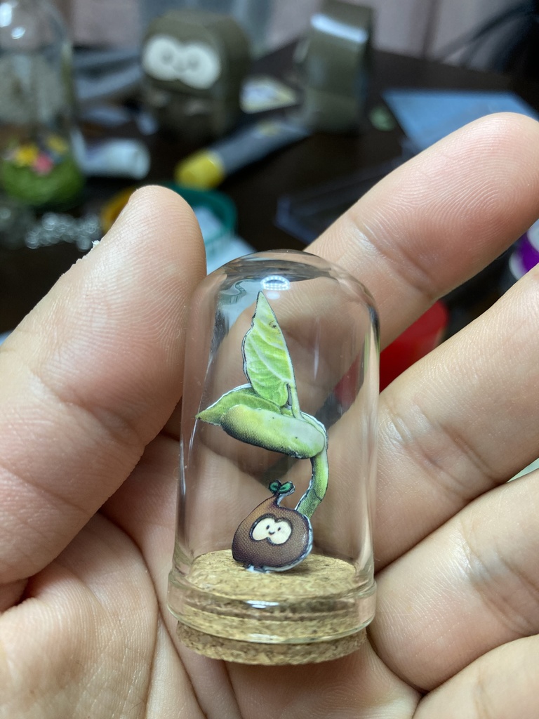 タネボウとエダマメの芽生えのガラスドーム