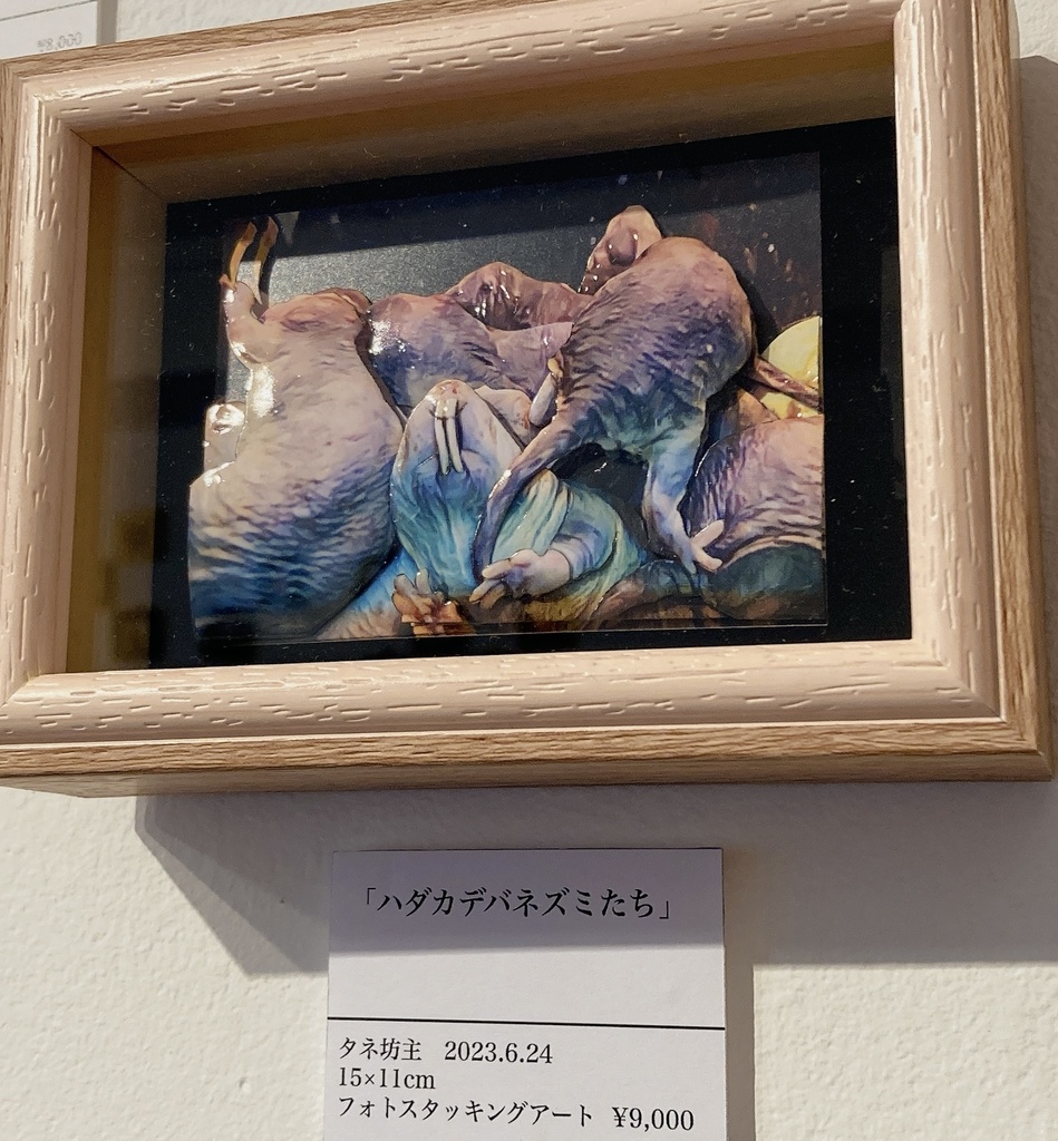 【半額セール】額装作品~スタッキングアート~