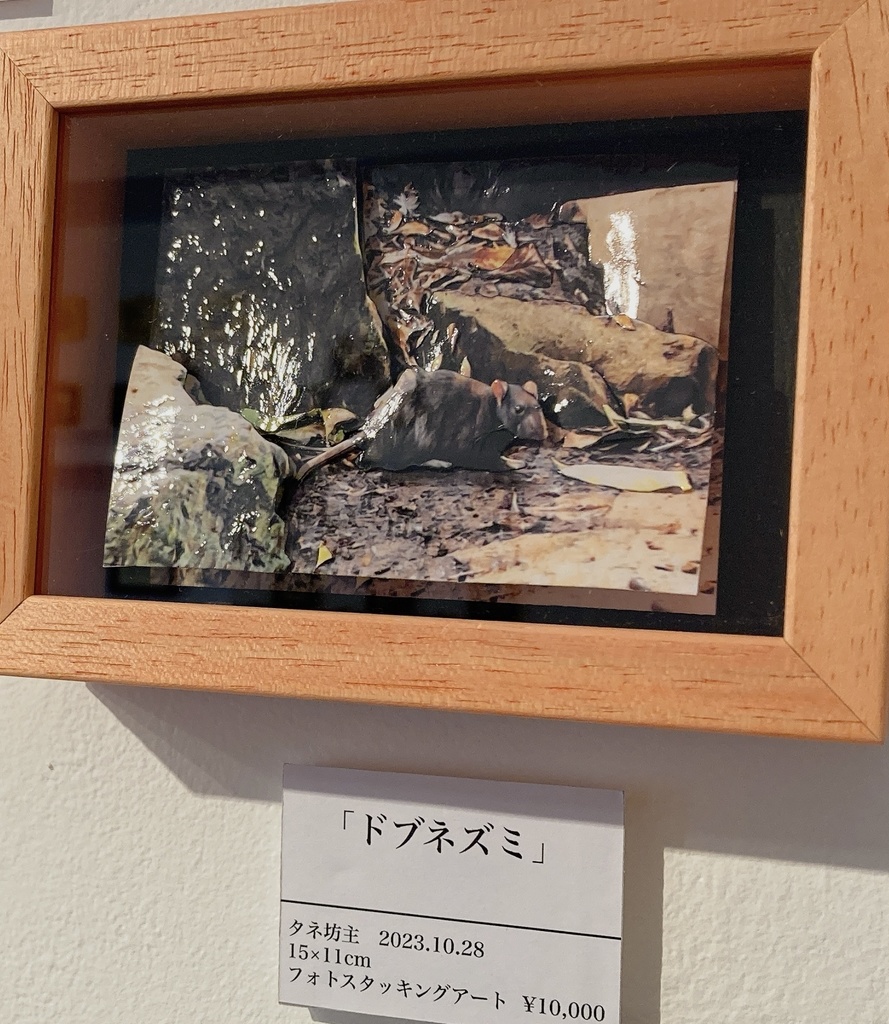 【半額セール】額装作品~スタッキングアート~