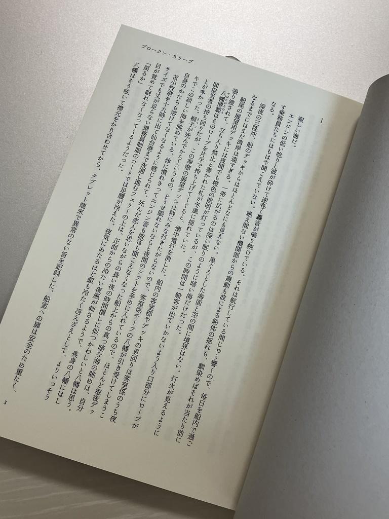 ブロークン・スリープ