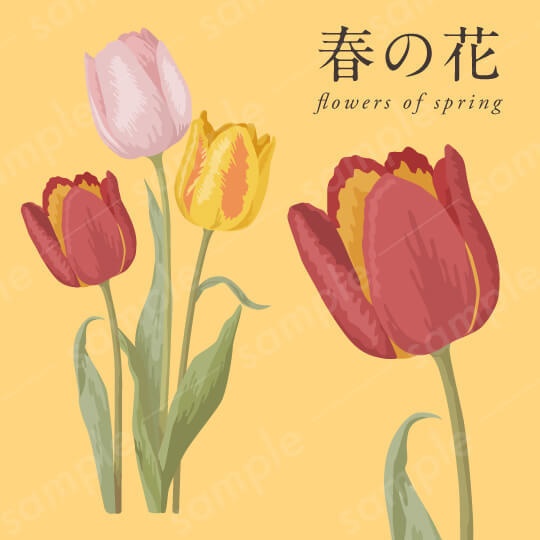 【春の花】ピンク・赤・黄色のチューリップのリアル系ベクターイラスト【aiデータ】
