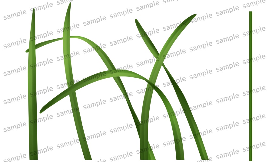 花菖蒲イラスト素材