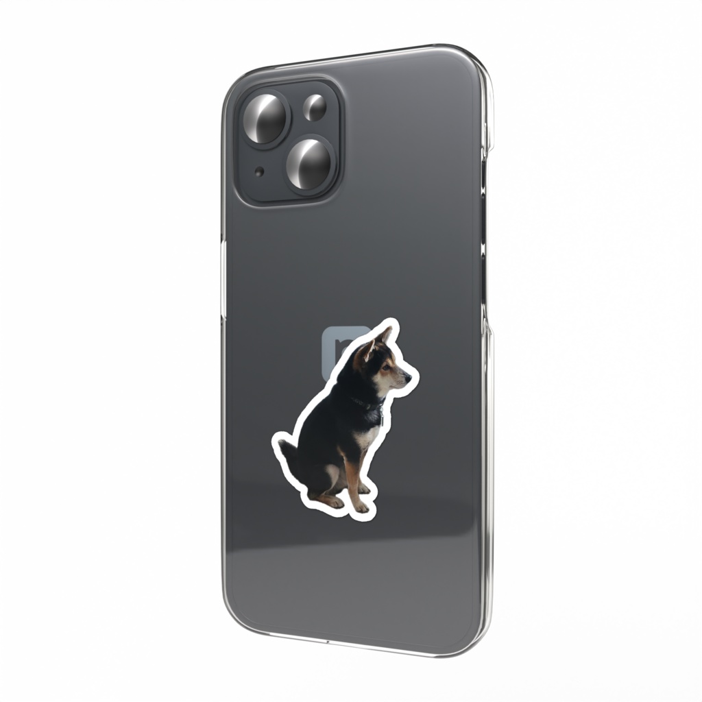 いぬ　凛々しくお座り