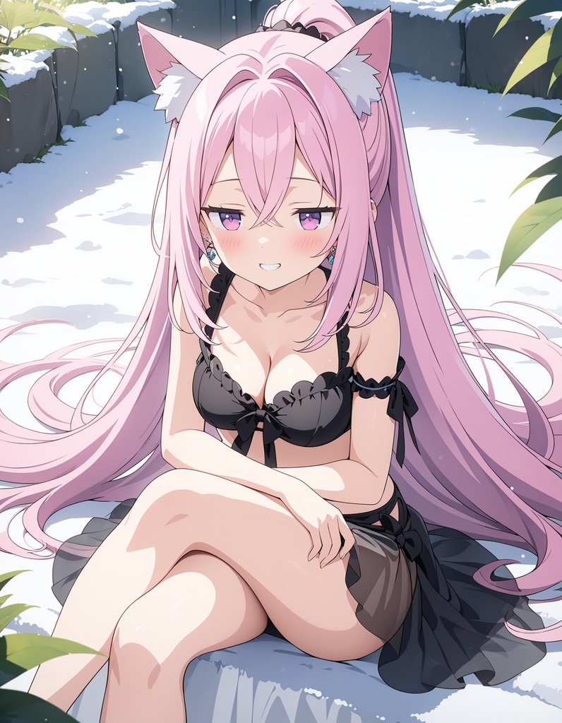 2024年12月 後半 哈姆ハム有料イラスト集