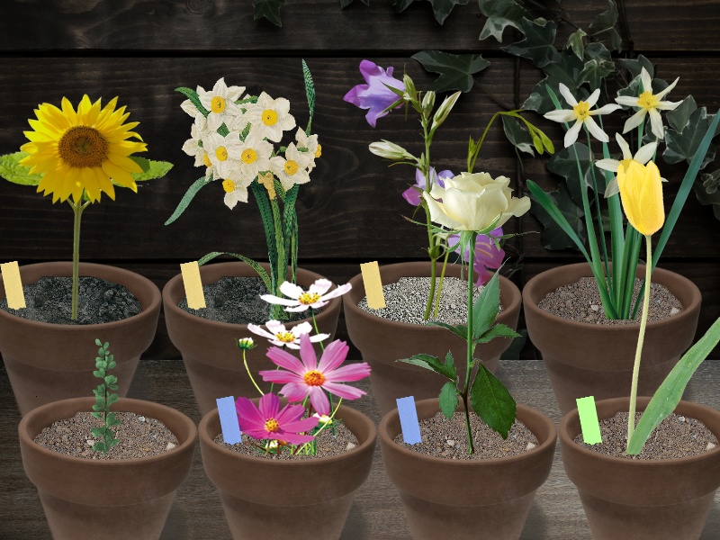 【育成SLG+サイコホラーノベル】My Sweet Blossom