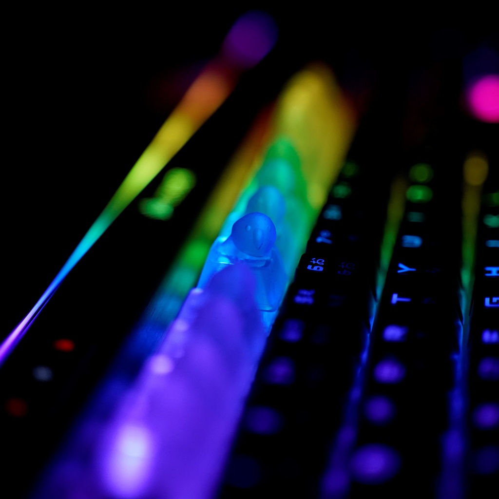 パロットキーキャップ