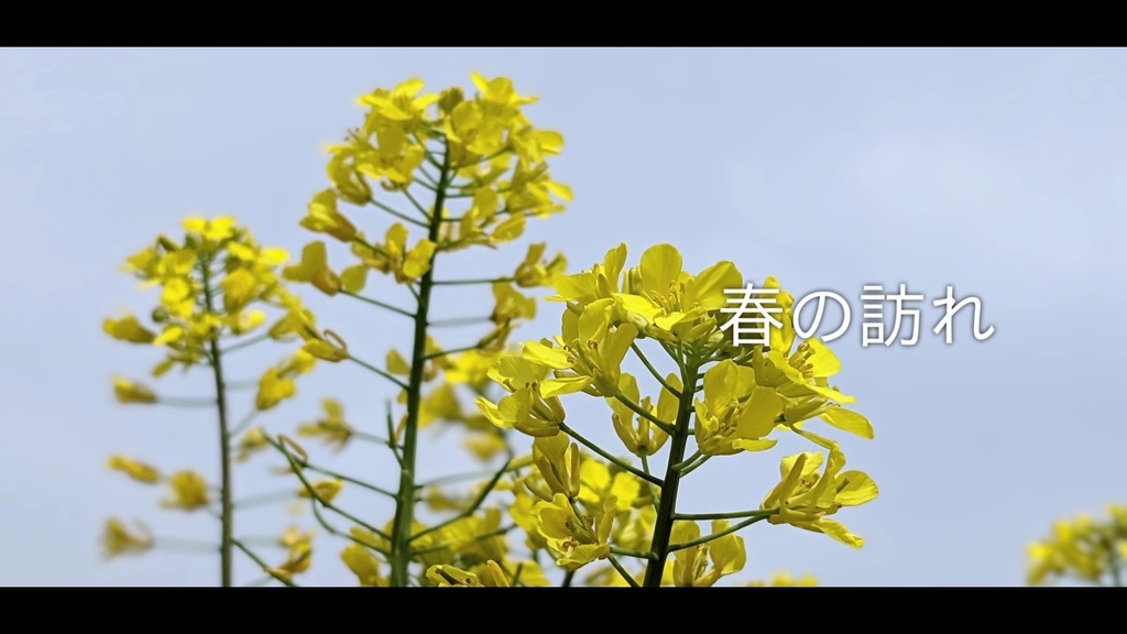音楽素材『春の訪れ』歌もの曲