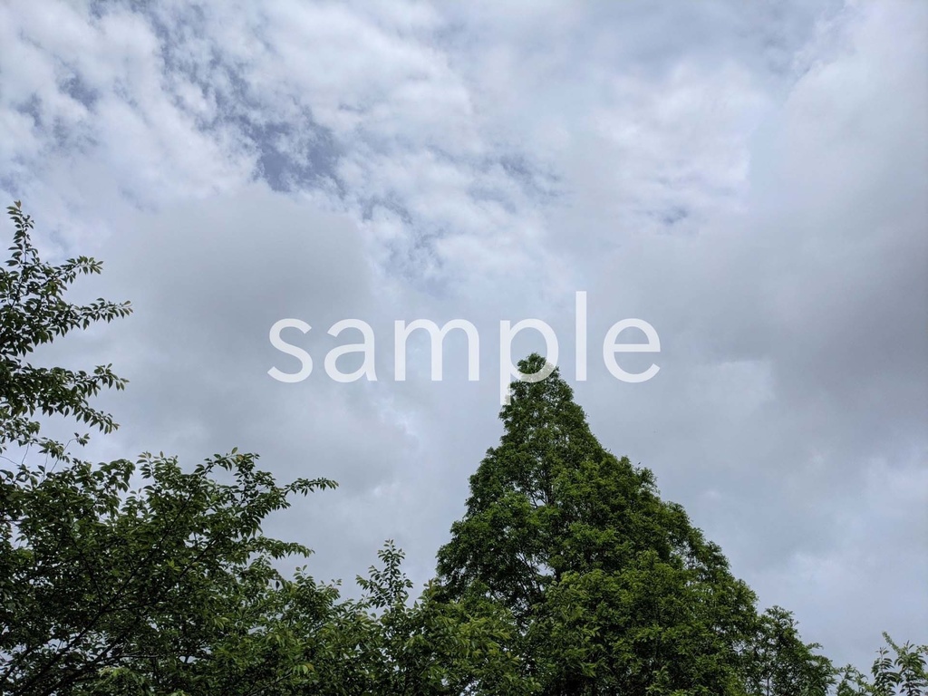 写真素材『木と少し曇り空』