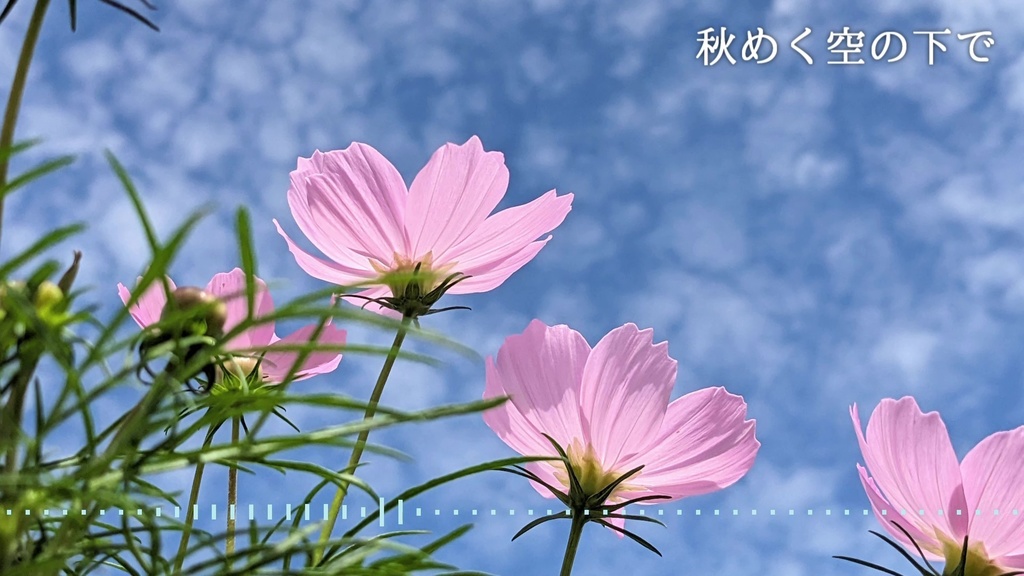 音楽素材『秋めく空の下で』BGM曲