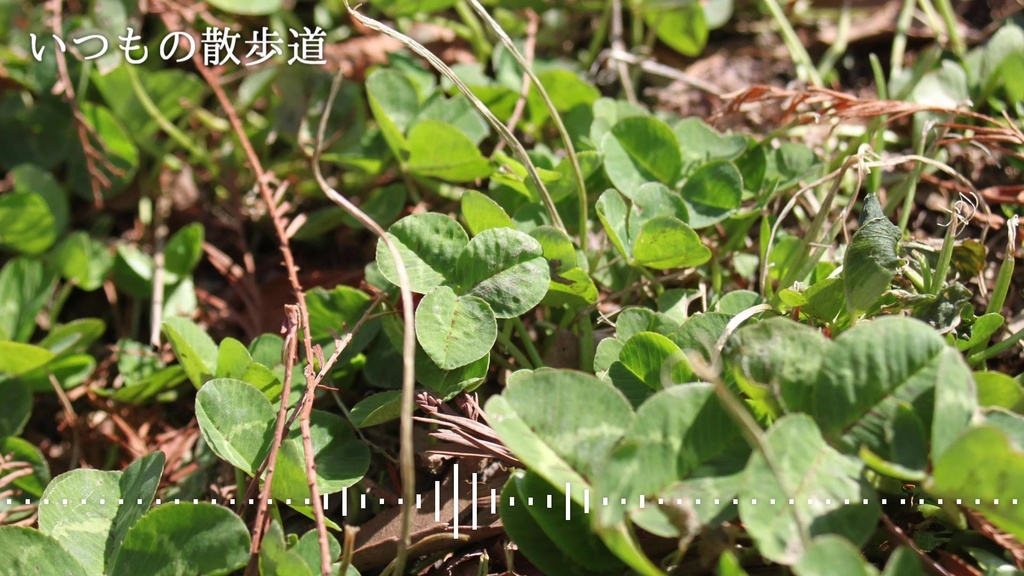 音楽素材『いつもの散歩道』BGM曲