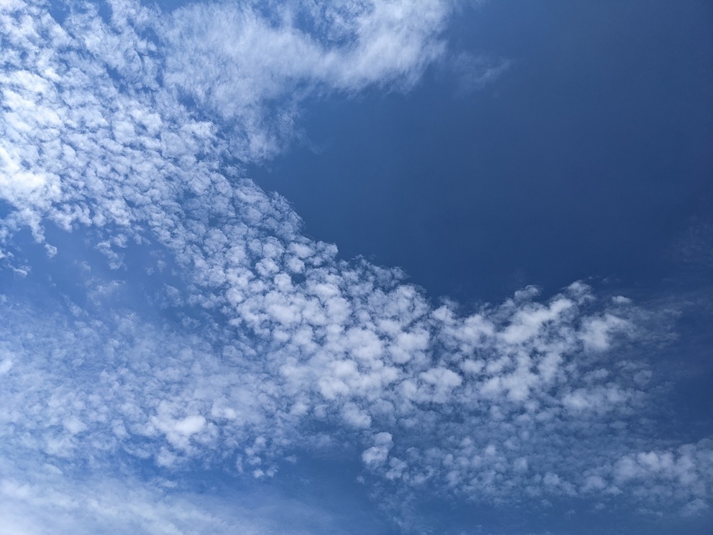 写真素材『うろこ雲』