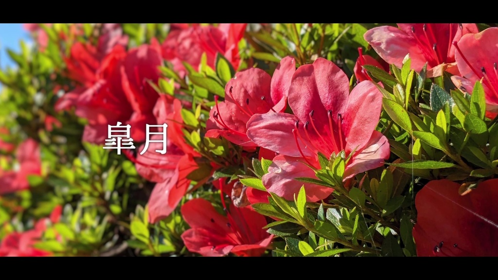 音楽素材『皐月』歌もの曲