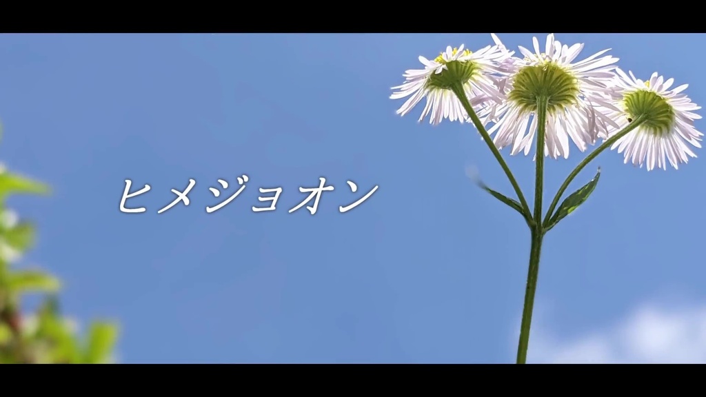 音楽素材『ヒメジョオン』歌もの曲