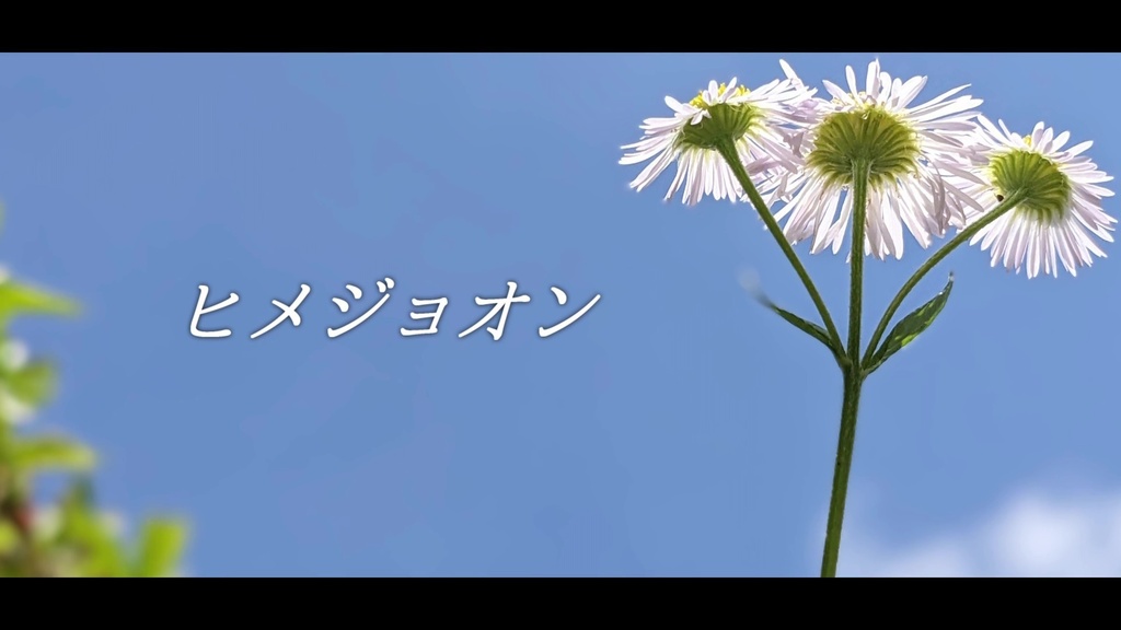 音楽素材『ヒメジョオン』歌もの曲