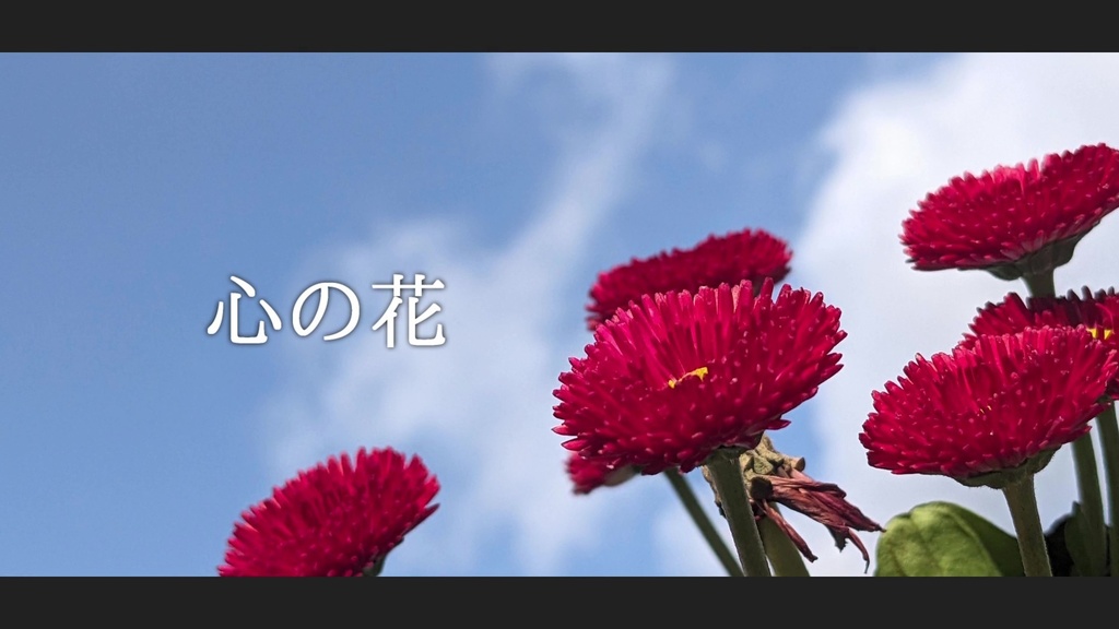音楽素材『心の花』歌もの曲[