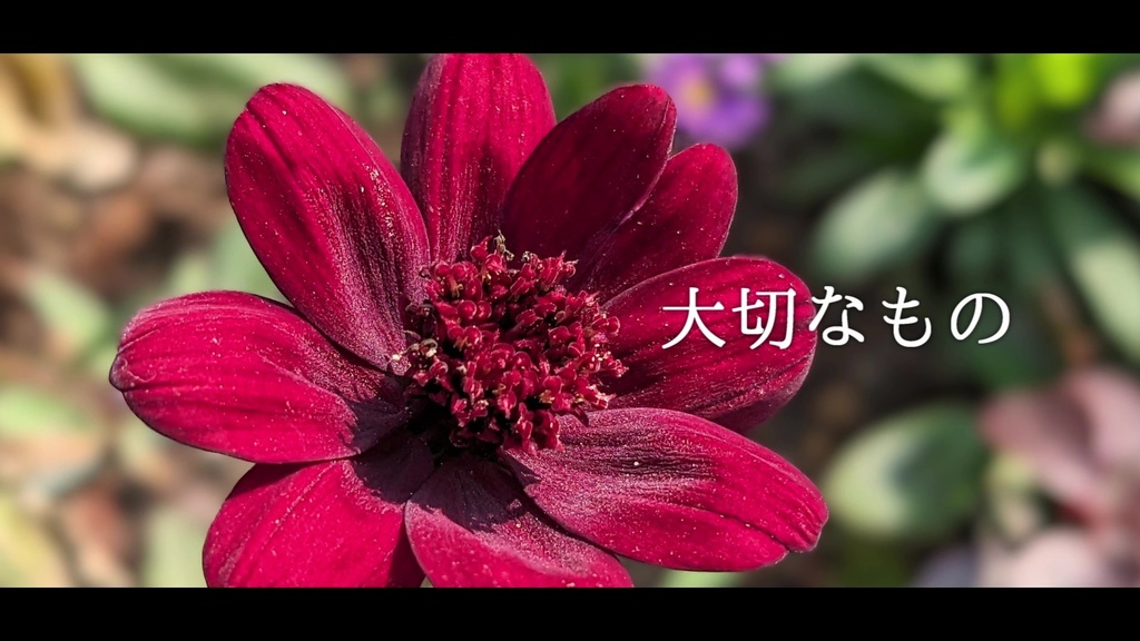 音楽素材『大切なもの』歌もの曲