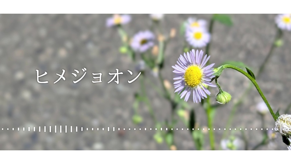 音楽素材『ヒメジョオン-BGM Arrange-』BGM曲