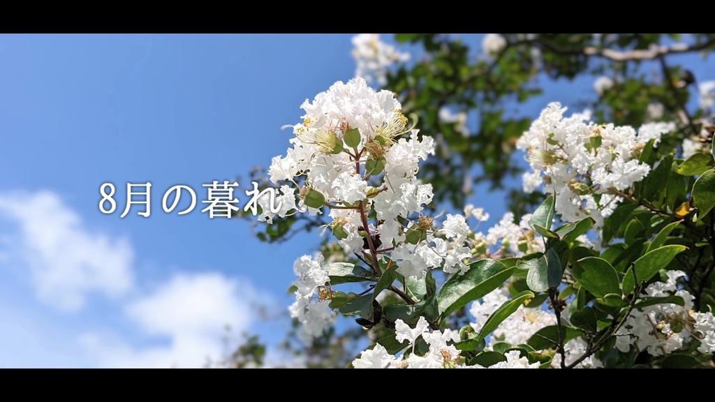 音楽素材『8月の暮れ』歌もの曲