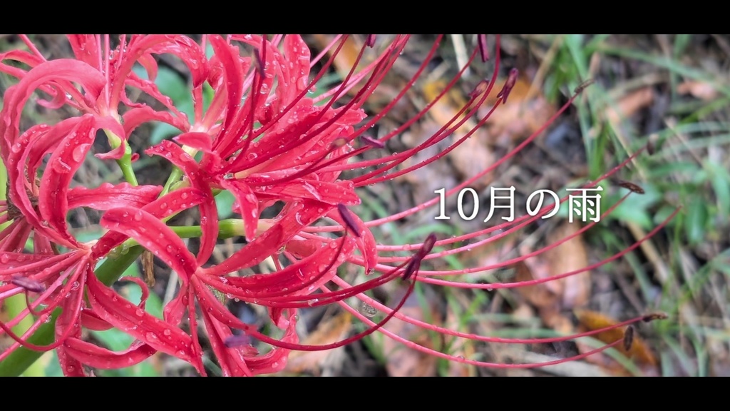 音楽素材『10月の雨』歌もの曲