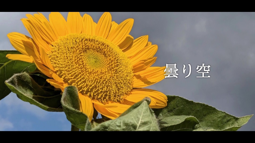 音楽素材『曇り空』歌もの曲
