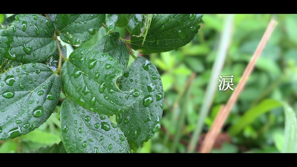 音楽素材『涙』歌もの曲