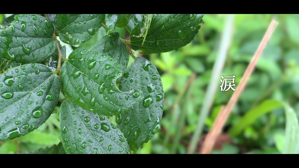 音楽素材『涙』歌もの曲