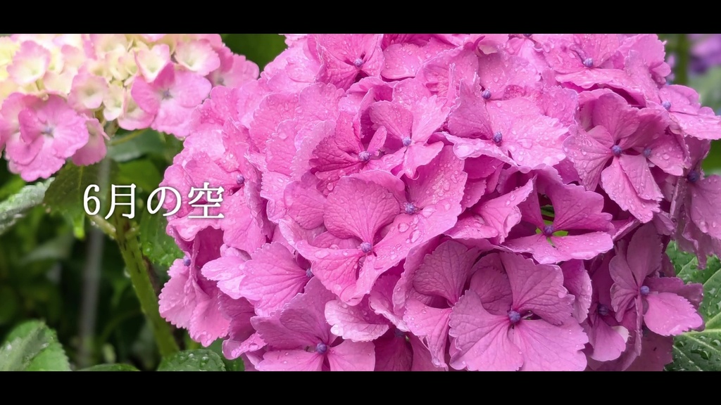 音楽素材『6月の空』歌もの曲