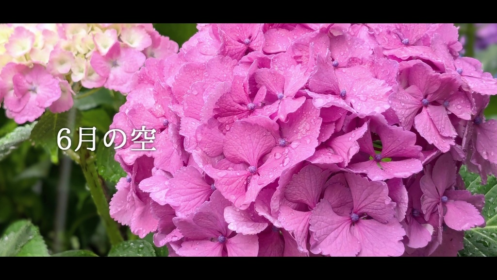 音楽素材『6月の空』歌もの曲