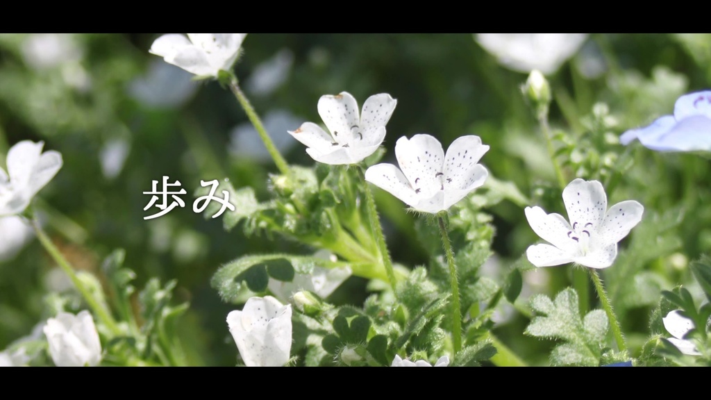 音楽素材『歩み』歌もの曲