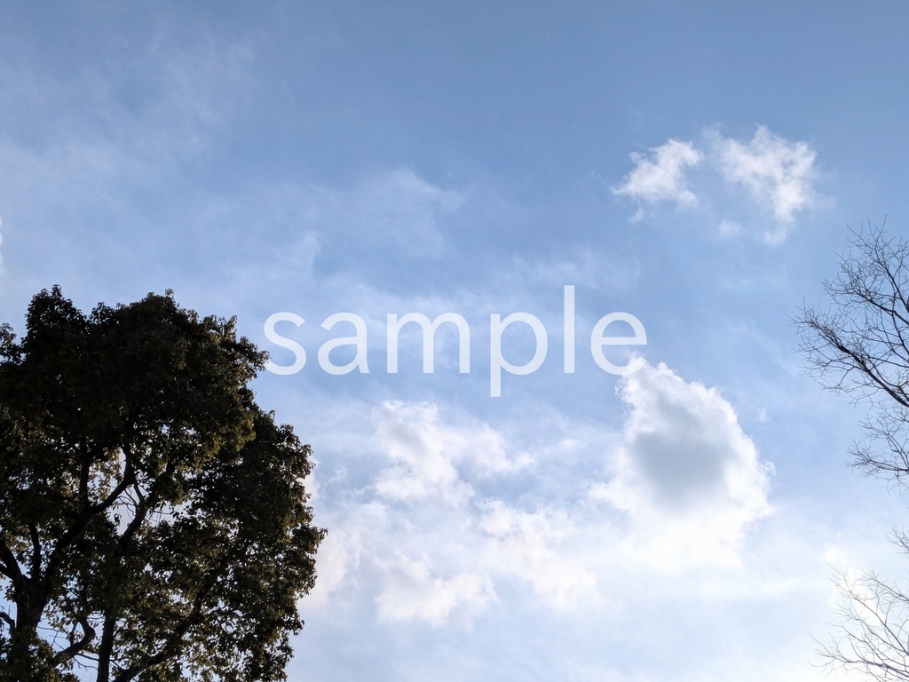 写真素材『冬空と木』